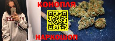 СК Гай