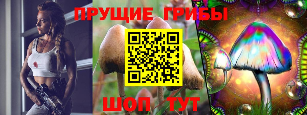 Галлюциногенные грибы MAGIC MUSHROOMS Донской