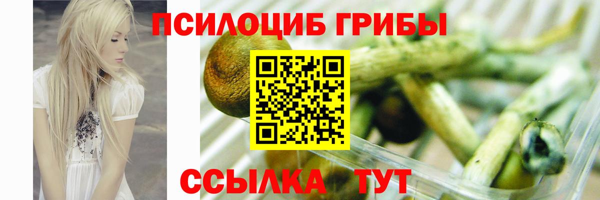 Донской  Галлюциногенные грибы MAGIC MUSHROOMS  Галлюциногенные грибы ЛСД  Вход с VPN 